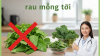 Ai Không Nên Ăn Mồng Tơi? Giải Pháp Thay Thế Từ Chuyên Gia